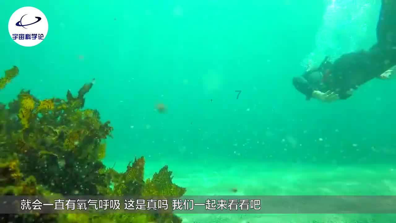 名利场这本书大概讲什么??游戏画面